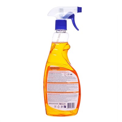 Средство для мытья стекол Chirton "Апельсин", 750 мл