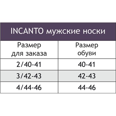 Носки мужские Incanto