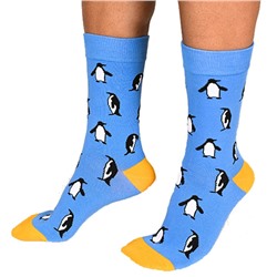 В мире животных | Носки "Танцующие пингвины. Солнечный день"