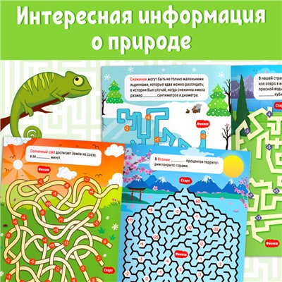 Книга «Математические лабиринты с фактами. Природа», 36 стр.