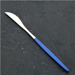 Нож столовый из нержавеющей стали Magistro «Блинк», 22 см, на подвесе, цвет металла серебряный, синяя ручка