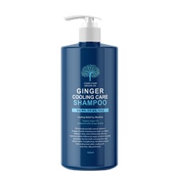Char Char Шампунь для волос УКРЕПЛЕНИЕ / ОХЛАЖДЕНИЕ Argan Oil Ginger Cooling Care Shampoo, 1000 мл