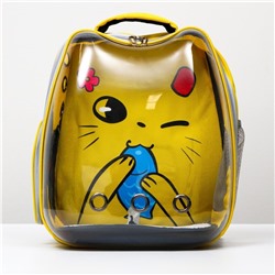 Рюкзак для переноски животных "Котик", прозрачный, 34 х 25 х 40 см, жёлтый