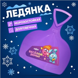 Ледянка Смешарики «Весёлой зимы»