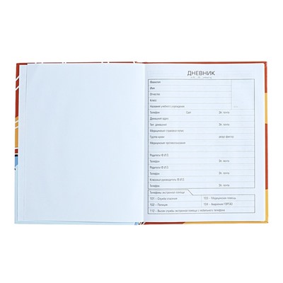 Дневник для 1-11 классов, твердая обложка «Влад А4», 40 листов, глянцевая ламинация