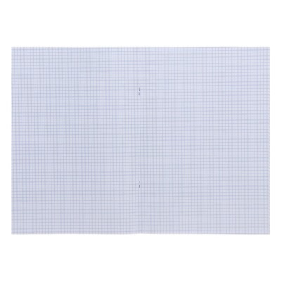 Тетрадь А4, 48 листов в клетку "Лягух Кир", обложка мелованный картон, матовая ламинация, тиснение, блок 60г/м2 , МИКС