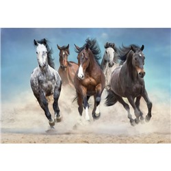Холст с красками 30 × 40 см «Скачущие лошади»