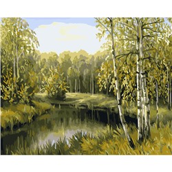 Картина по номерам на холсте ТРИ СОВЫ "Летний пейзаж", 40*50см, с акриловыми красками и кистями