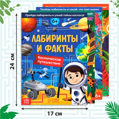 Набор книг «Лабиринты и факты: Пройди лабиринт и узнай факт!», 4 книги по 24 стр., 6+