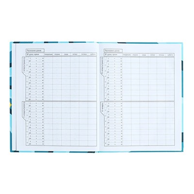 Дневник для 1-11 классов, твердая обложка «Влад А4», 40 листов, глянцевая ламинация