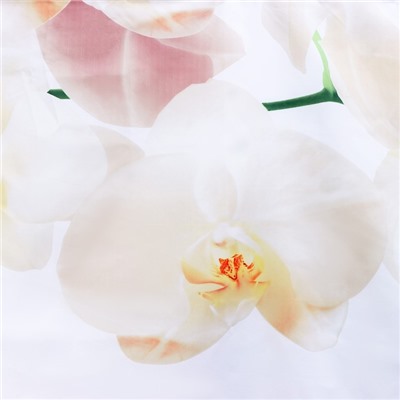 Штора для ванны Доляна «Орхидея над водой», 180×180 см, полиэстер