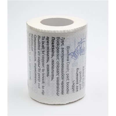 Сувенирная туалетная бумага «Русско-английский сленг – часть 1», двухслойная, 25 м (10х9,5 см)