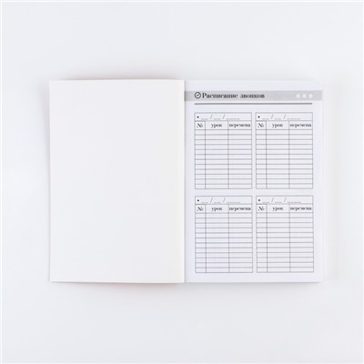 Ежедневник «Лучшему учителю», формат А5,160 листов, мягкая обложка