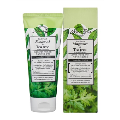 GRACE DAY - ПЕНКА ДЛЯ ЛИЦА С ЭКСТРАКТАМИ ПОЛЫНИ И ЧАЙНОГО ДЕРЕВА REAL FRESH MUGWORT & TEA TREE FOAM CLEANSER, 100 ML