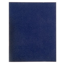Тетрадь 96 листов клетка "Синяя", обложка бумвинил