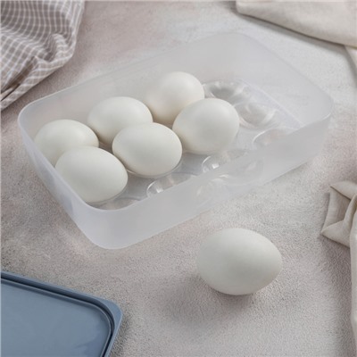 Набор контейнеров для яиц, 2 шт, 22,5×15×7,5 см, цвет МИКС