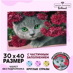 Алмазная мозаика с частичным заполнением «Котёнок», 40 х 30 см. Набор для творчества