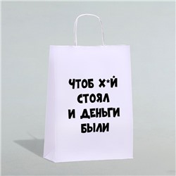 Пакет подарочный «Чтоб деньги были», 24 х 14 х 28 см 1 шт