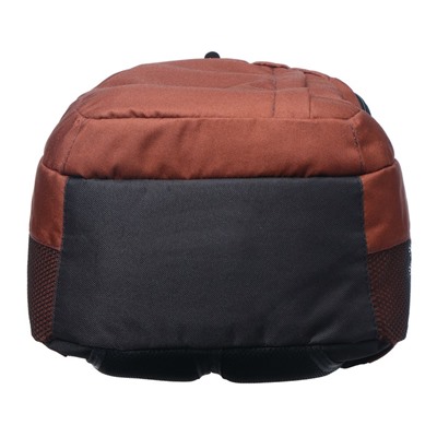 Рюкзак молодёжный Stavia "Стиль", 44 х 29 х 12 см, эргономичная спинка, коричневый