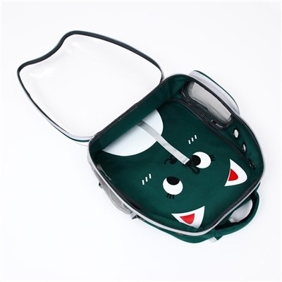 Рюкзак для переноски животных "Котик", прозрачный, 34 х 25 х 40 см, зелёный