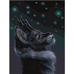 Картина по номерам на холсте ТРИ СОВЫ "Мистический кот", 30*40, с акриловыми красками и кистями