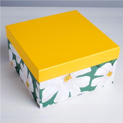 Набор подарочных коробок 6 в 1 «Свежесть», 10 х 10 х 6 - 20 х 20 х 11 см