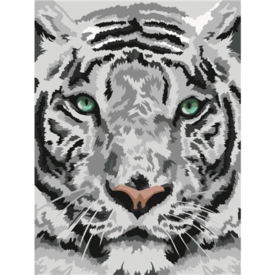 Картина по номерам на картоне ТРИ СОВЫ "Бенгальский тигр", 30*40, с акриловыми красками и кистями