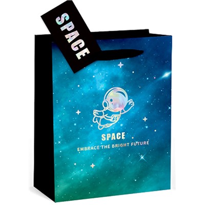 Пакет подарочный «Love&Space», brieght future (18*23*11)
