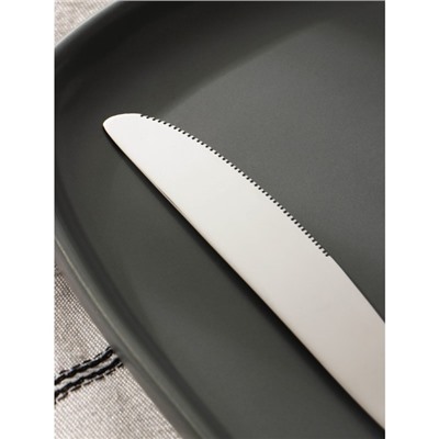 Нож столовый из нержавеющей стали Magistro «Эми», 22,6 см, цвет серебряный