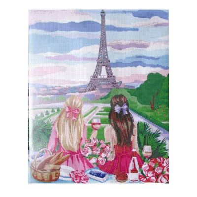 Алмазная мозаика на подрамнике с полным заполнением «Пикник в Париже», 40 × 50 см