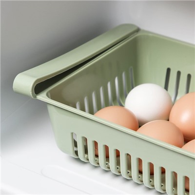 Контейнер для хранения яиц, 10 ячеек, 31×17,5×7,5 см, цвет МИКС